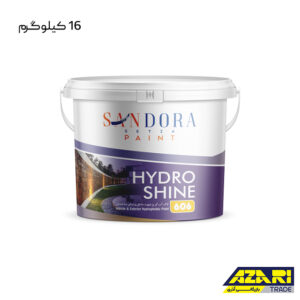 لاک آب گریز هیدروشاین شفاف ساندورا کد 606 حلب